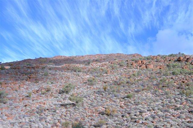 Pitjantjatjara Lands in the centre of Australia.     Photograph by Kathy Smerdon.